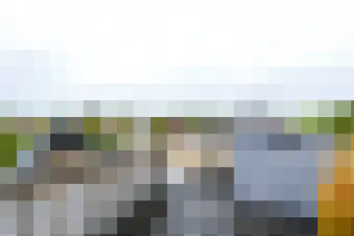 Vleutenseweg 185 A Utrecht thumbnail 16