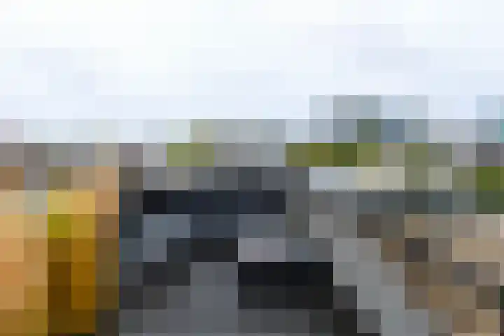Vleutenseweg 185 A Utrecht thumbnail 17