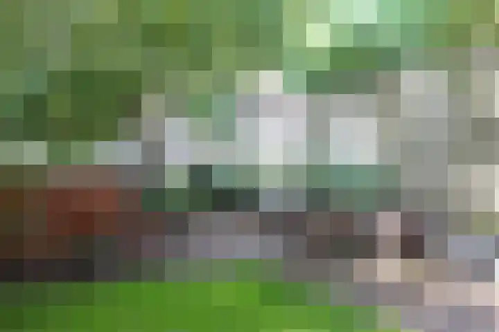 Vleutenseweg 199 Utrecht thumbnail 12