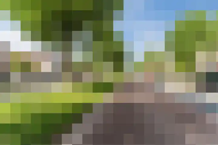 Vleutenseweg 199 Utrecht thumbnail 17