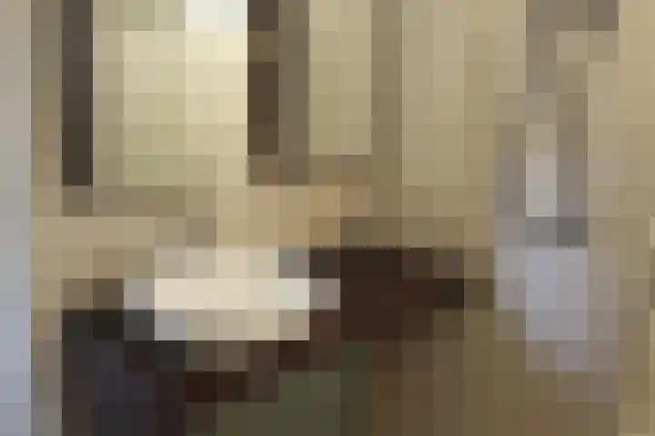 Vleutenseweg 199 Utrecht thumbnail 6