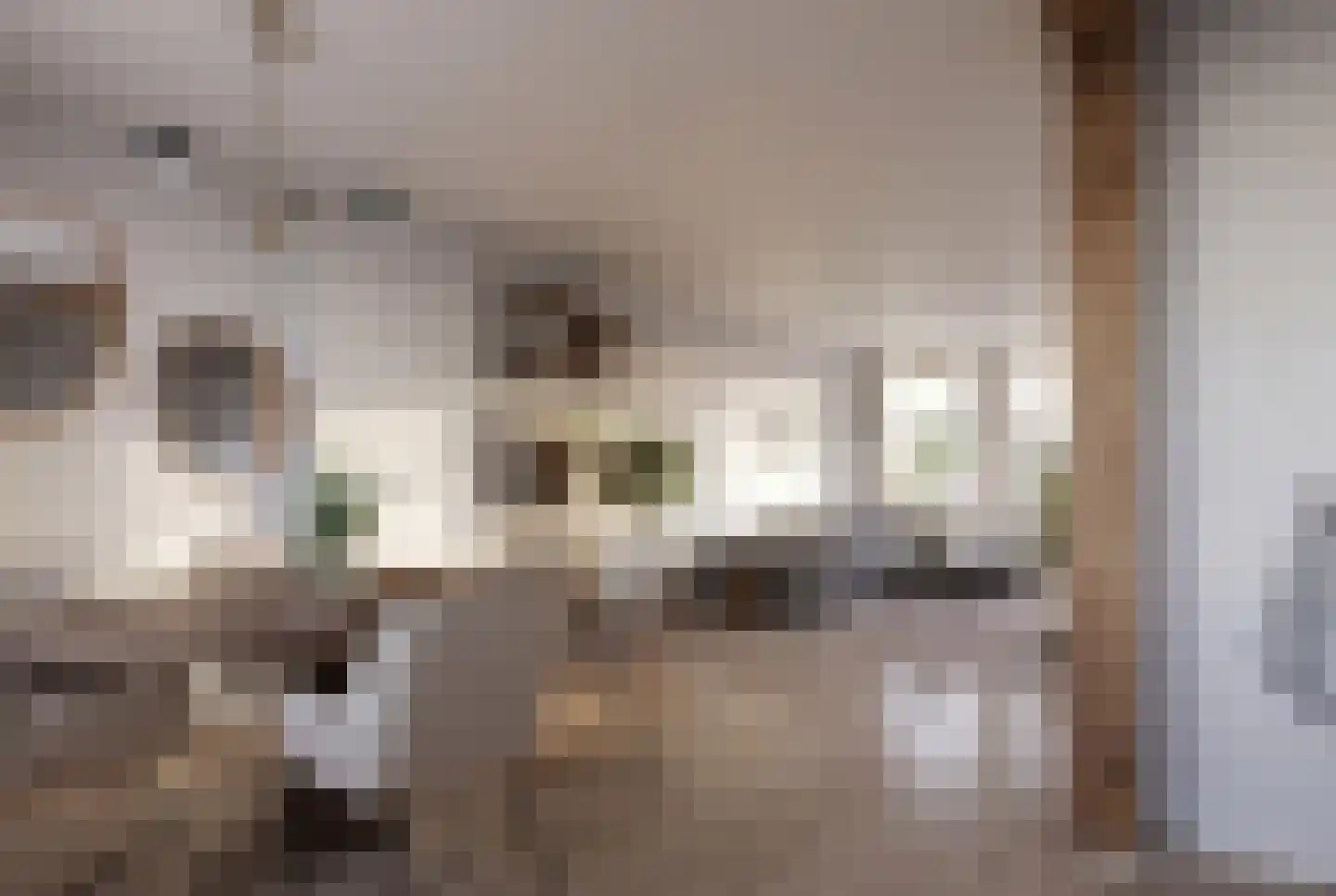Vleutenseweg 201 Utrecht thumbnail 16