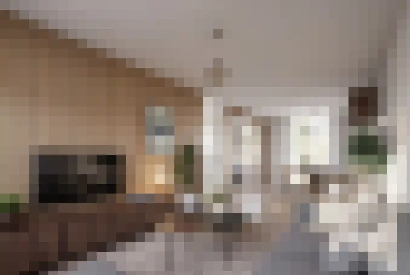 Vleutenseweg 201 Utrecht thumbnail 4