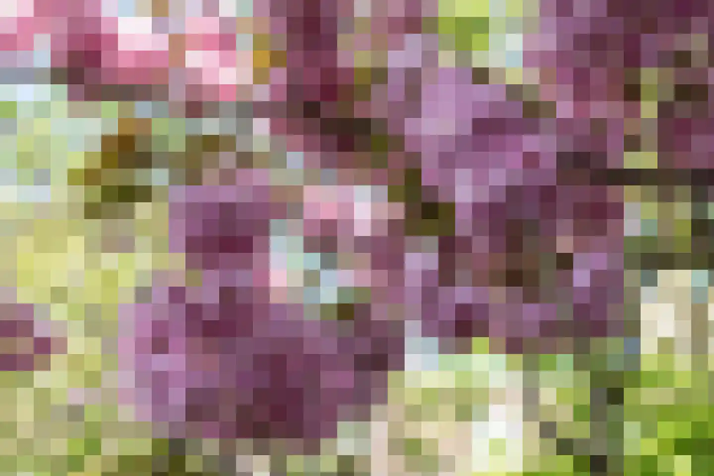 Vleutenseweg 205 Utrecht thumbnail 14