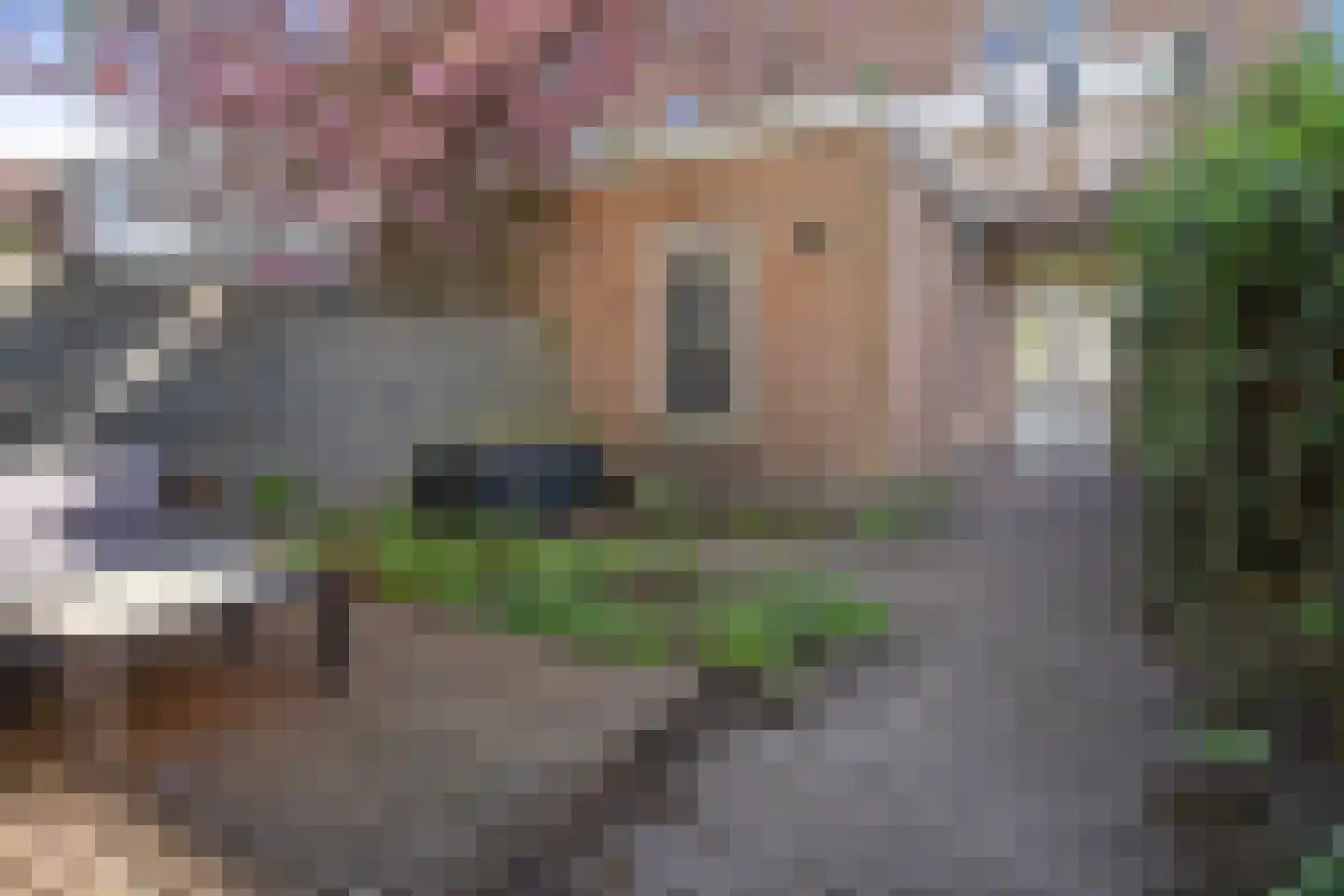 Vleutenseweg 205 Utrecht thumbnail 15