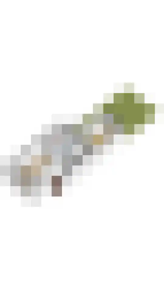 Vleutenseweg 205 Utrecht thumbnail 35