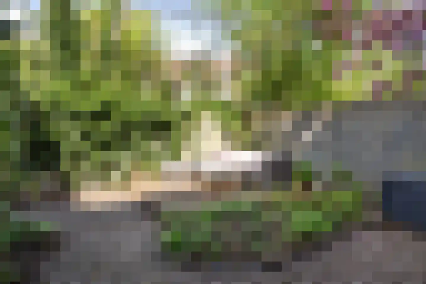 Vleutenseweg 205 Utrecht thumbnail 4