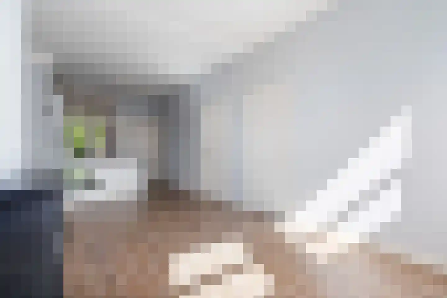 Vleutenseweg 205 Utrecht thumbnail 9