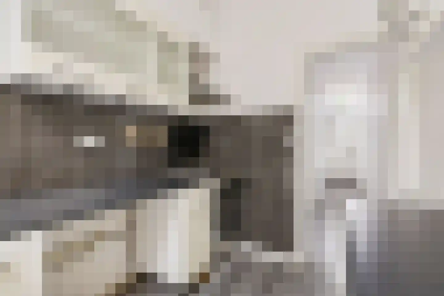 Vleutenseweg 236 Utrecht thumbnail 9