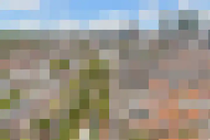 Vleutenseweg 261 L Utrecht thumbnail 10