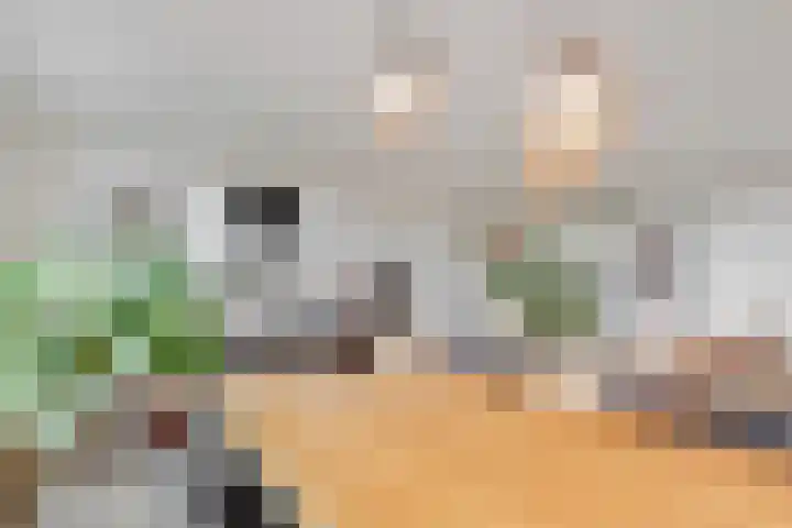 Vleutenseweg 261 L Utrecht thumbnail 16