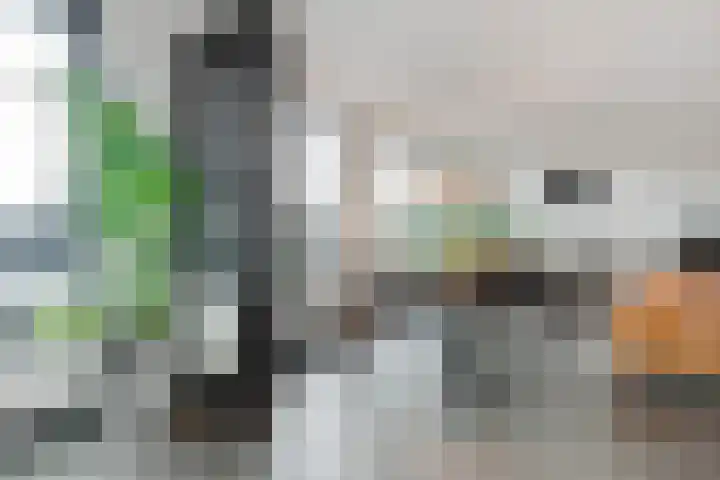 Vleutenseweg 261 L Utrecht thumbnail 20