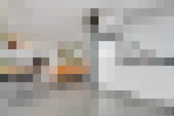 Vleutenseweg 261 L Utrecht thumbnail 24