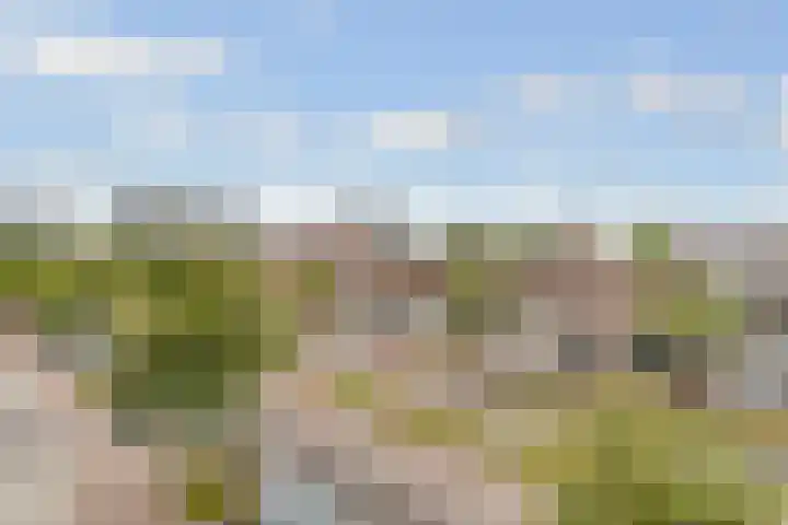 Vleutenseweg 261 L Utrecht thumbnail 26