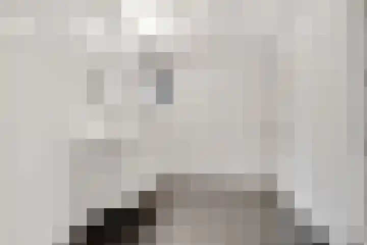 Vleutenseweg 261 L Utrecht thumbnail 30