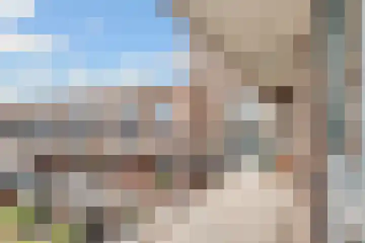 Vleutenseweg 261 L Utrecht thumbnail 41