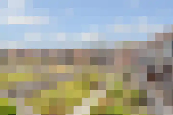 Vleutenseweg 261 L Utrecht thumbnail 43