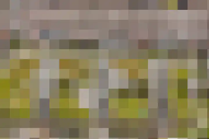 Vleutenseweg 261 L Utrecht thumbnail 46