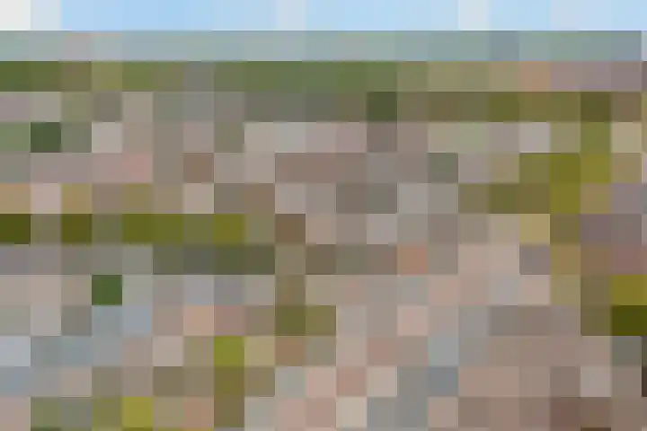 Vleutenseweg 261 L Utrecht thumbnail 47
