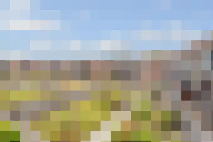 Vleutenseweg 261 L Utrecht thumbnail 5