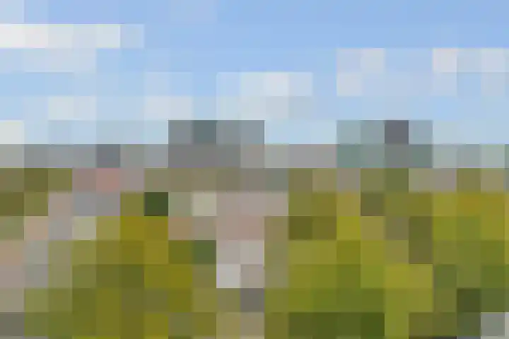 Vleutenseweg 261 L Utrecht thumbnail 8