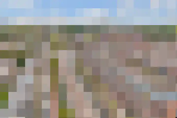 Vleutenseweg 261 L Utrecht thumbnail 9