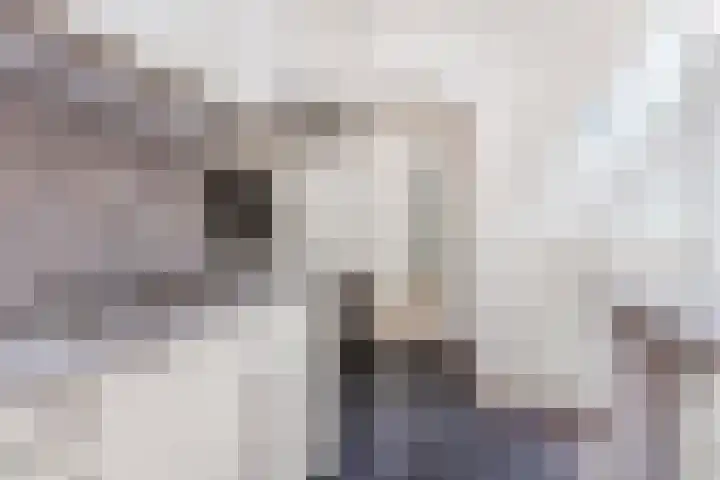 Vleutenseweg 264 Utrecht thumbnail 11