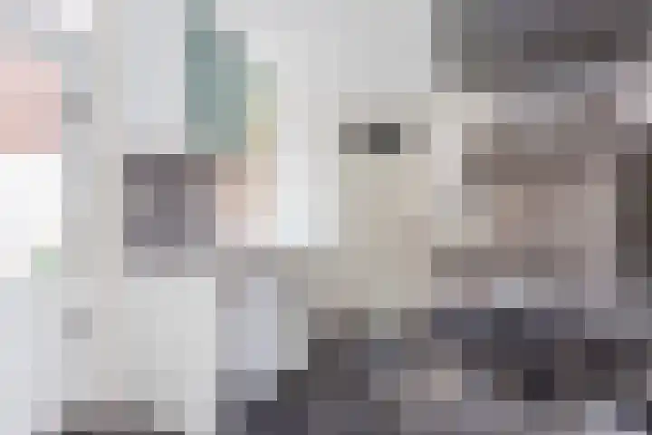 Vleutenseweg 264 Utrecht thumbnail 13