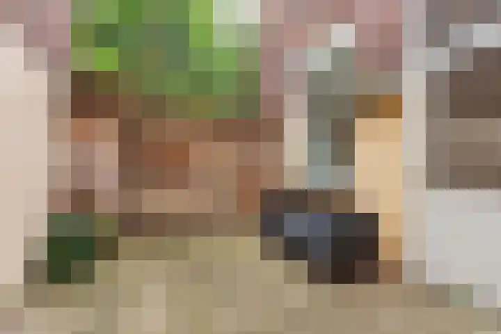 Vleutenseweg 264 Utrecht thumbnail 18