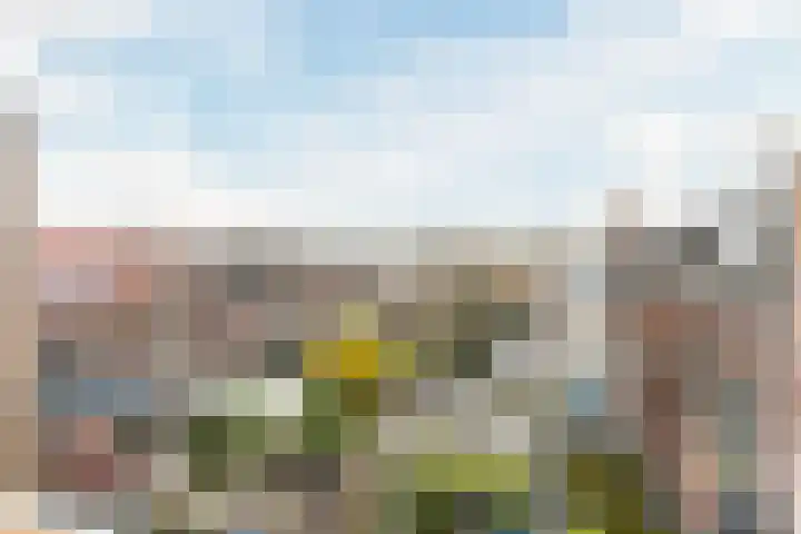 Vleutenseweg 270 A Utrecht thumbnail 15