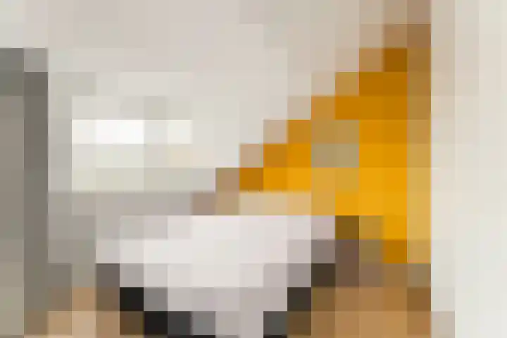 Vleutenseweg 270 A Utrecht thumbnail 31