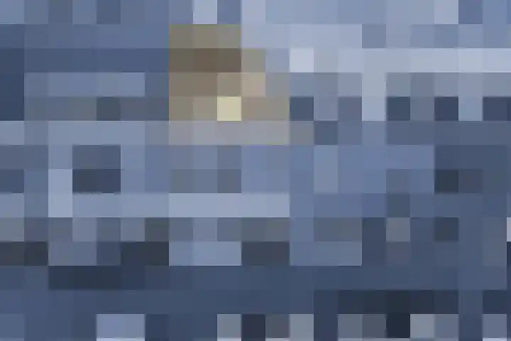 Vleutenseweg 270 A Utrecht thumbnail 4