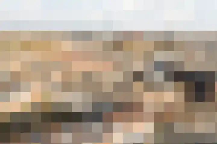 Vleutenseweg 270 A Utrecht thumbnail 42