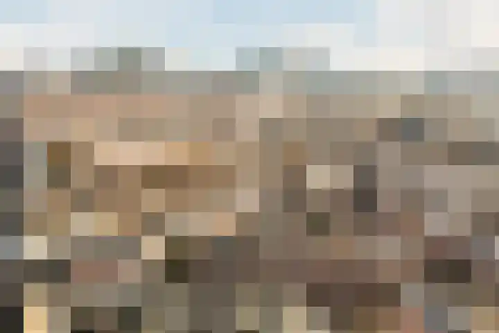 Vleutenseweg 270 A Utrecht thumbnail 43