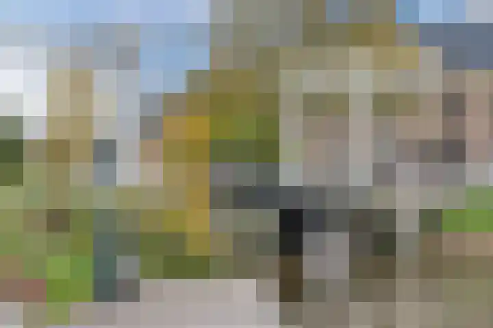 Vleutenseweg 270 A Utrecht thumbnail 44