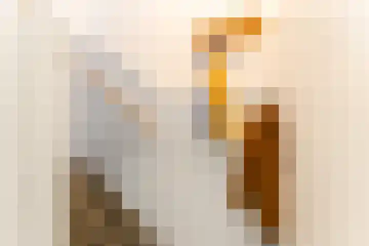 Vleutenseweg 270 A Utrecht thumbnail 6