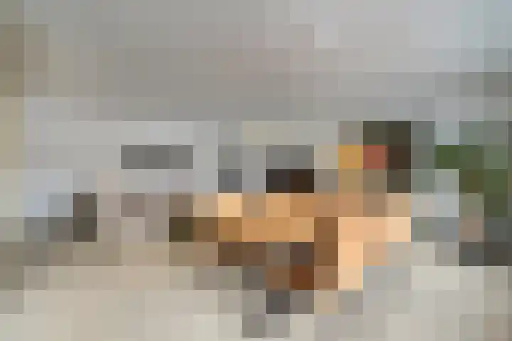 Vleutenseweg 271 Utrecht thumbnail 10
