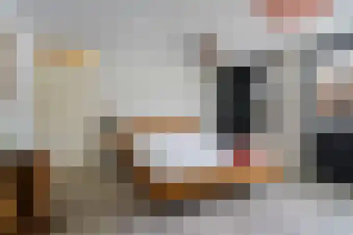 Vleutenseweg 271 Utrecht thumbnail 19