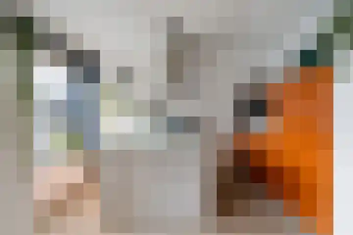 Vleutenseweg 271 Utrecht thumbnail 6