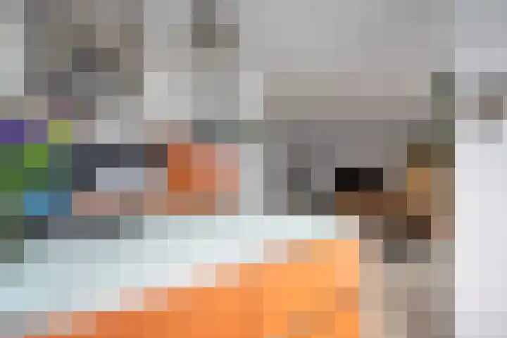 Vleutenseweg 271 Utrecht thumbnail 9
