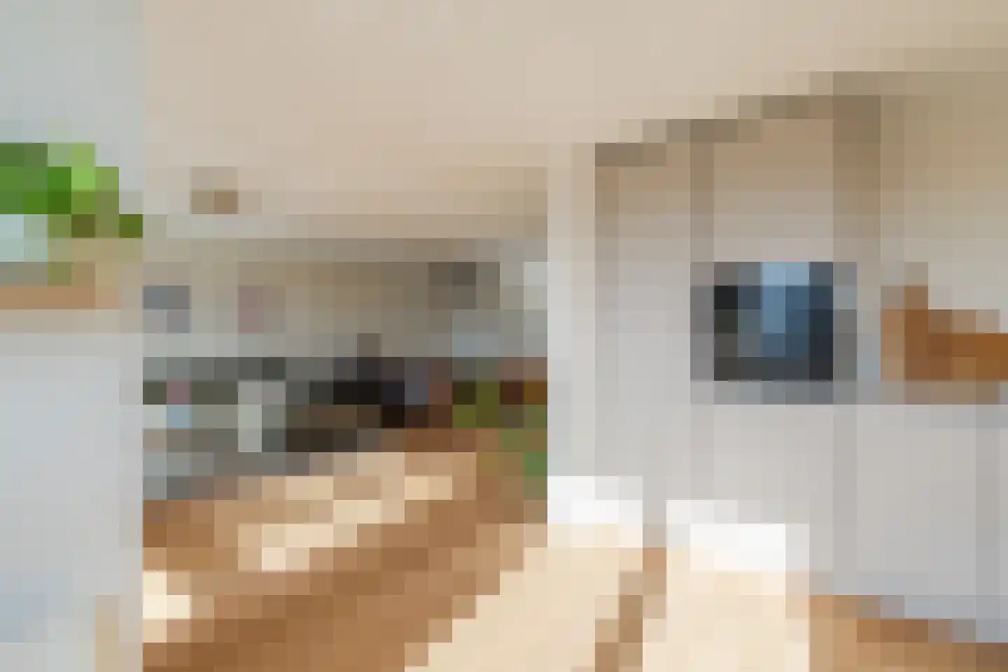 Vleutenseweg 275 G Utrecht thumbnail 16