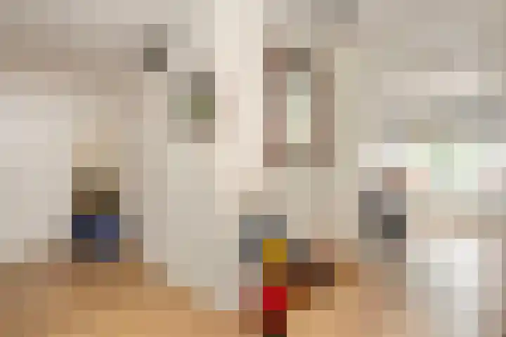 Vleutenseweg 279 Utrecht thumbnail 18