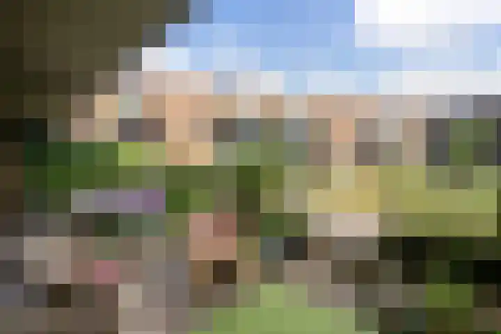 Vleutenseweg 279 Utrecht thumbnail 4