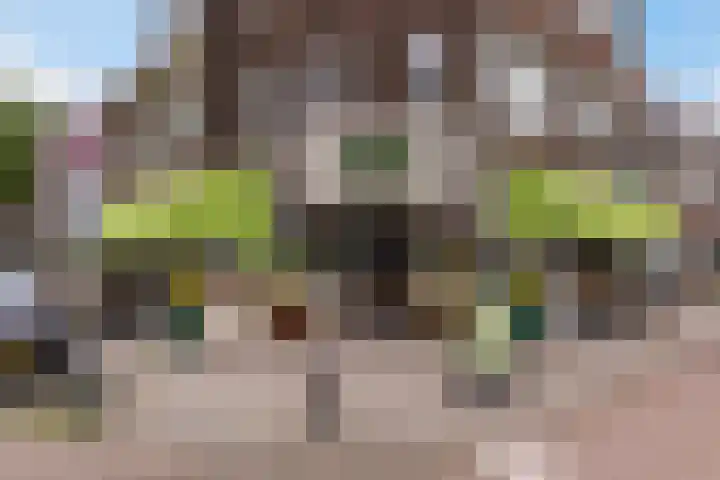 Vleutenseweg 290 C Utrecht thumbnail 13