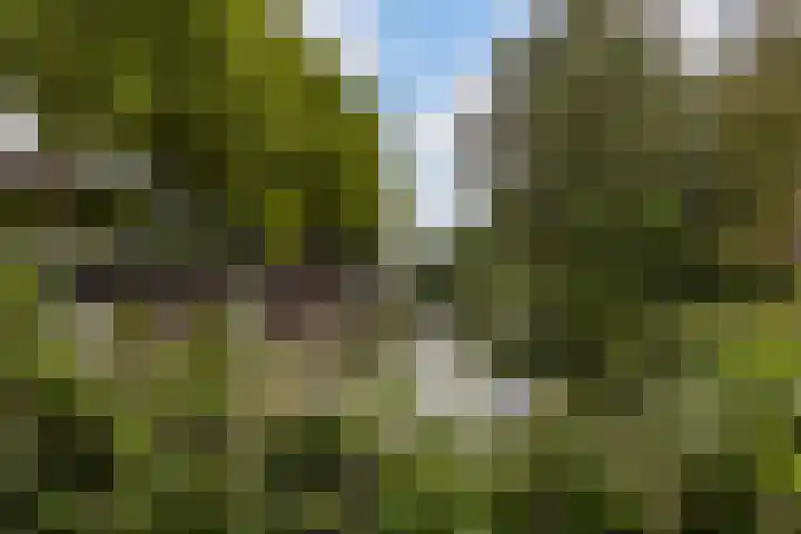 Vleutenseweg 290 C Utrecht thumbnail 15
