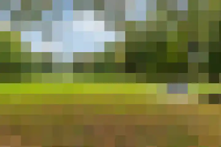 Vleutenseweg 290 C Utrecht thumbnail 20