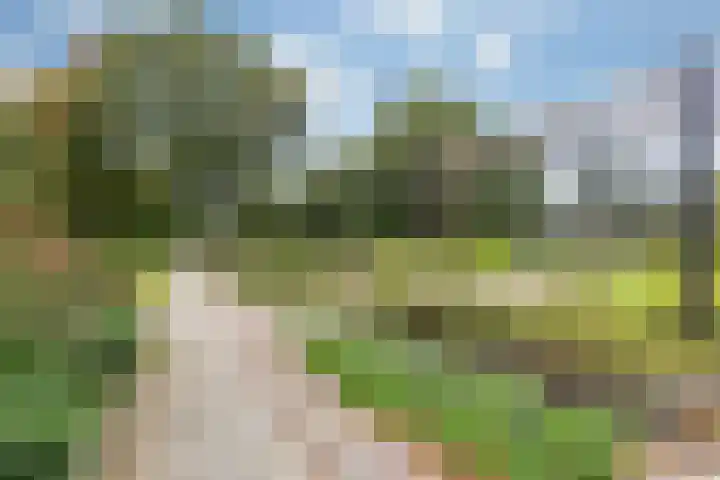 Vleutenseweg 290 C Utrecht thumbnail 22