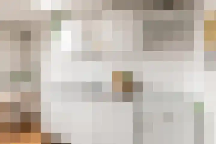 Vleutenseweg 290 C Utrecht thumbnail 7