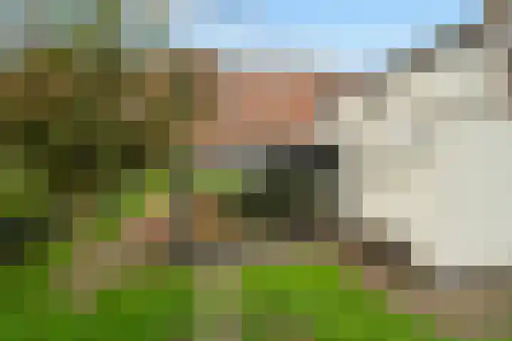 Vleutenseweg 294 C Utrecht thumbnail 24