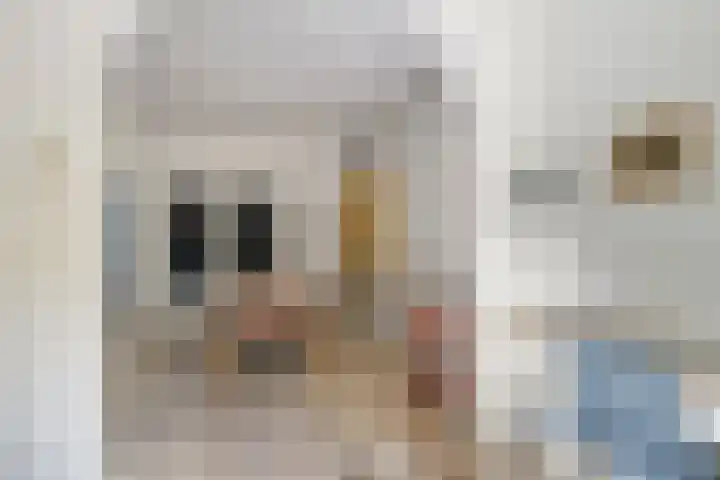 Vleutenseweg 336 Utrecht thumbnail 17